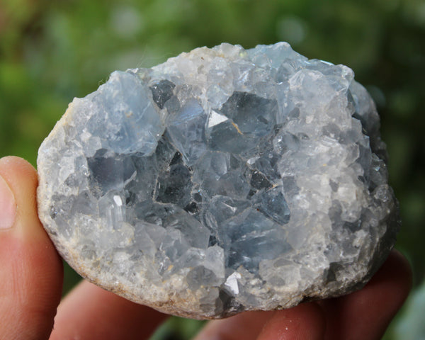 Celestite Cluster-GratefulGemHead