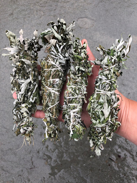 Wild Harvested Mugwort bundle-GratefulGemHead