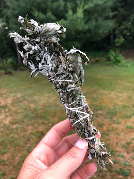 Wild Harvested Mugwort bundle-GratefulGemHead